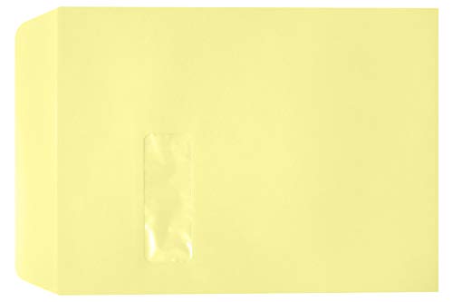 LUXPaper 9" x 12" Open End Envelopes for 8 1/2 x 11 Letters in 80lb. Lemonade, for Bulk Items, Inventory Items, Catalogs, and More w/Peel & Press, 500 pack (Lemonade)