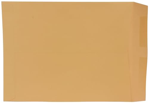 School Smart No Clasp Envelopes with Gummed Flap, 10 x 13 Inches, Kraft Brown, Pack of 250