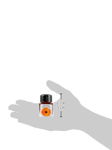 Diamine Bottle Ink Music Set, 10 Colors, 1.0 fl oz (30 ml)