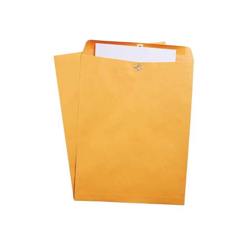 Staples 10x15 Kraft Clasp Envelopes, Brown, Extra-Large, 10/Pack