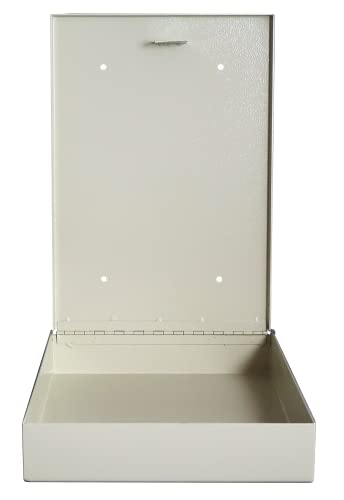 Protex Wall Mount Drop Box (LPD-161), for ballots, cash, checks, large size envelopes and other large documents, Piano hinge, Pre-drilled mounting holes off-white