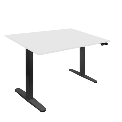 Mount-It! Dual Motor Electric Standing Desk with 48" Tabletop White Tabletop, Black Frame