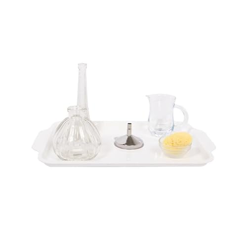 LLTCMAOYI Montessori Pouring Water Work Set, Glass Practical Life Kit