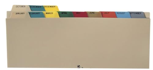 Plastic Monthly Divider Set, 21-Tab, Multi-Color, Case of 10