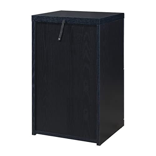 OSP Home Furnishings Alpine 2-Drawer File Cabinet with Locking Top Drawer and Lockdowel Fastening System, Vertical, Black