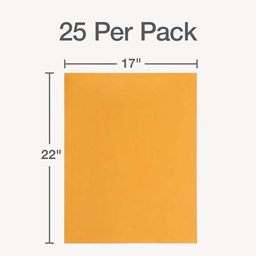 Quality Park Jumbo Kraft Envelopes, 17 x 22, Ungummed Catalog Envelopes for Storing and Organizing, 28 lb Kraft Paper, 25 per Box (QUA42356), Brown Kraft