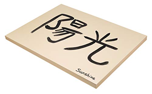 Pacon Tagboard, 18"X24", Manila, Medium Weight, 100 Sheets, 18" x 24"