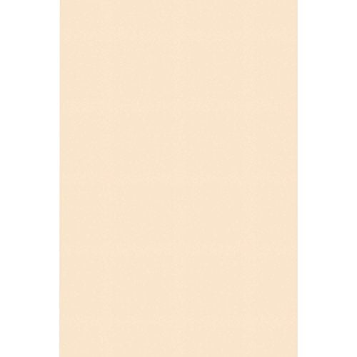 Pacon Corporation 5126 Tagboard, Heavyweight, 24-Inch x36-Inch, 100SH/PK, Manila