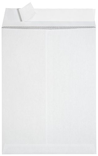 10 9 X 12 Self Seal Security Catalog Envelopes - Designed for Secure Mailing - Securely Holds up to 60 Sheets of Paper with Strong Peel and Seal Flap (10 Envelopes)