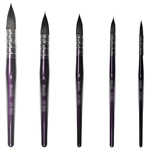 UOHLCX HBJWOV Hair Wood Handle Watercolor Art Supplies for Artists' Painting Brushes