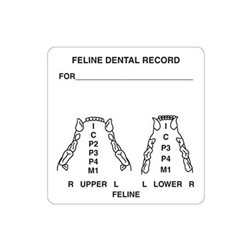 Veterinarian Feline Dental Examination Stickers, Doctor Stuff Veterinarian Stickers, 2-1/2" x 2-1/2", White, 390/Roll, Tabbies Veterinary V-AN411