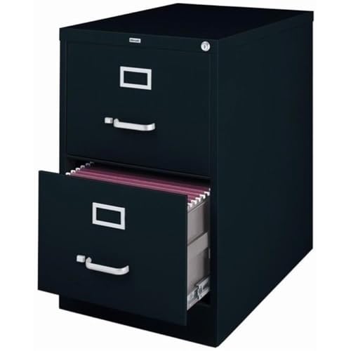Pemberly Row 2 Drawers 28.38" Vertical Black Metal Filing Cabinet Lockable Pre-Assembled Stationary Legal Size for Home, Office