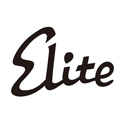PILOT "Elite 95s / Black [nib : Medium]