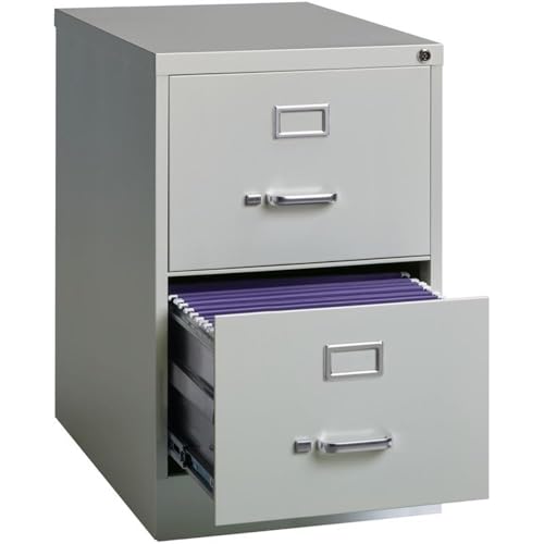 Pemberly Row 2 Drawers 28.38" Vertical Gray Metal Filing Cabinet Lockable Pre-Assembled Stationary Legal Size for Home, Office