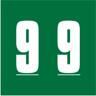 Doctor Stuff - File Folder Labels, Number 9, AMES L-A-00178RL Match - AMNP Series Chart Stickers, Green, 1-7/8" x 1-7/8", #9, 1000/Roll