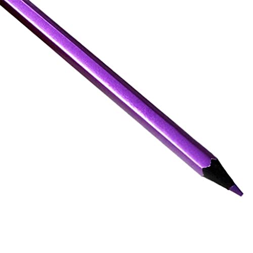 ZYQHMY 12Pcs Metallic Colored Drawing Pencils 12 Color Drawing Sketching Pencil