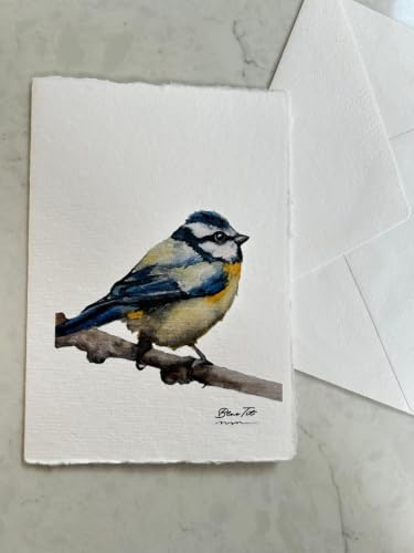 WANDERINGS Handmade Deckle Edge Blank Greeting Cards & Envelopes with Bird Art - 300 GSM Paper– 20 Cards (5 Each of 4 Varieties) for Invitations, Thank Yous, Get Well and Birthday Cards –5" x 7"