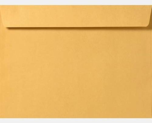 Limited Papers (TM) Booklet Envelopes, (Open Side) Brown Kraft, Gummed Seal, 28 Pound, Heavyweight, For Mailing And More. (250, 9.5 x 12.5)