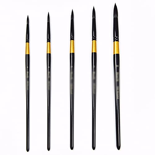 JSEIAJB Painting with Artists Watercolor Painting Art Supplies Brushes