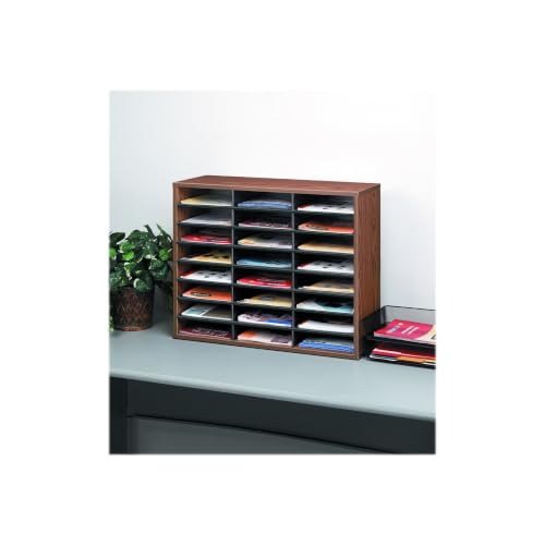 Fellowes 24-Compartment Literature Organizer, Letter Size, Medium Oak (25043)