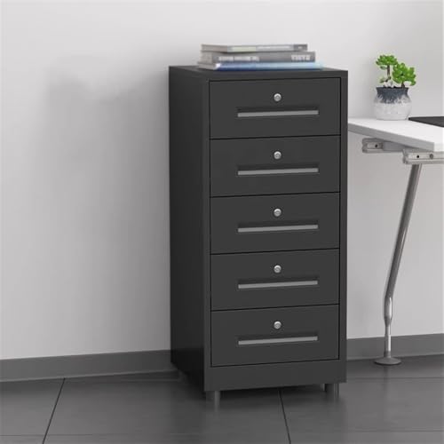 Cabinet File Cabinet Study Storage Cabinet for Living Room 5 Layer Large Capacity File Cabinet Office Data Organizer Acer Plate Storage Cabinet