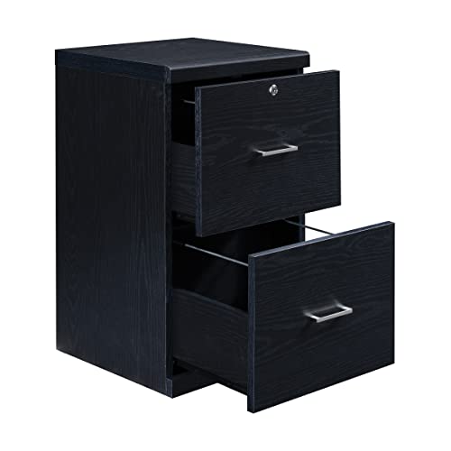 OSP Home Furnishings Alpine 2-Drawer File Cabinet with Locking Top Drawer and Lockdowel Fastening System, Vertical, Black