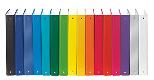Esselte Ring Binder Dorso 4 cm Black
