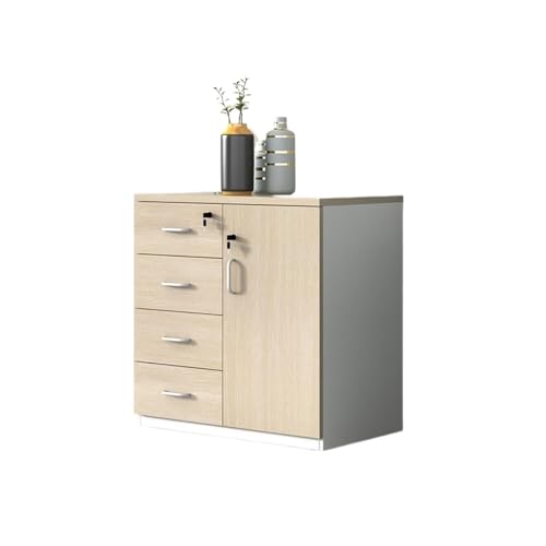 Cabinet File Cabinet Wooden Storage Cabinet One Door Four Storage Cabinets Data Storage Cabinet 80cm Office Filing Cabinet with CER
