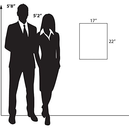 Azar Displays 122039 17-Inch W by 22-Inch H Wall Mount Acrylic Frame Pack of 10 - Clear Acrylic Wall Frame with Sticky Back - Floating Wall Sign Holder - Adhesive Office Sign - Frameless Picture Frame