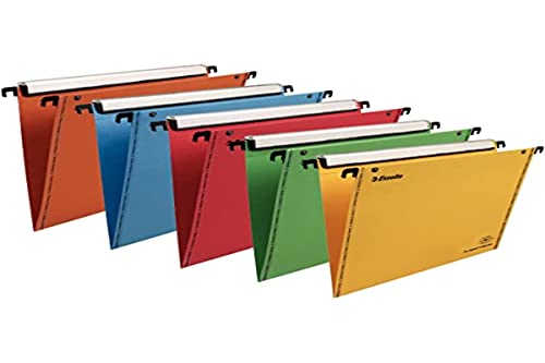 Esselte 49970 Set of 10 Suspension Files A4 Assorted Colours