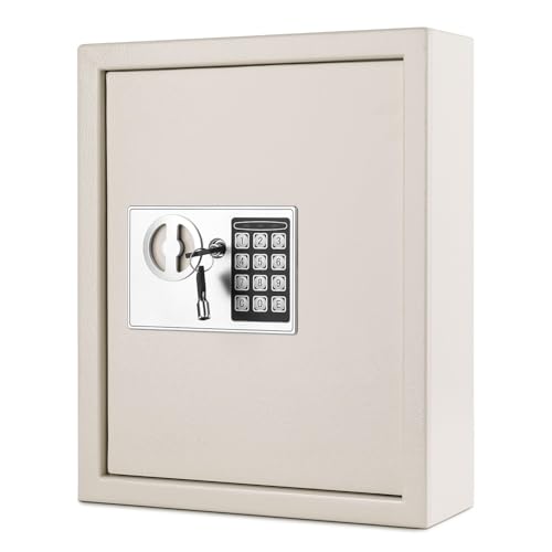 Flexzion Key Box Wall Mount with Code, Key Cabinet, Key Deposit Slot, 40 Key Holder Organizer Locker Case, Colored Key Tags Wall Mounted Lock Box for Keys Storage (Gray)