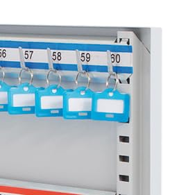 Arregui PL100 Safety Cabinet for 60 Keys with Adjustable Hooks, Grey, M