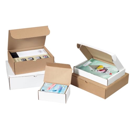 Box USA Literature Mailers 16"L x 16"W x 4"H 25-Pack, Cardboard Box for Shipping, Moving, Mailing, Packing, Packaging and Storage