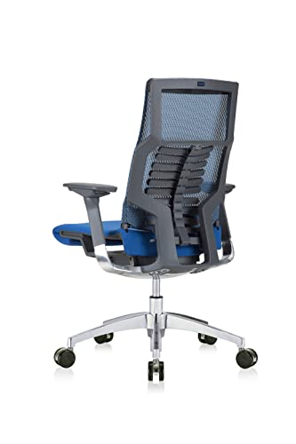 POwerFIT Exec Chair Blue Fabric SEAT/MESH Back-Charcoal Frame
