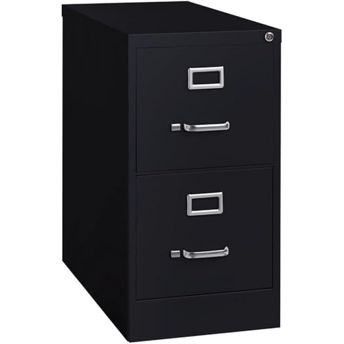Pemberly Row 2 Drawers 28.38" Vertical Black Metal Filing Cabinet Lockable Pre-Assembled Stationary Letter Size for Home, Office