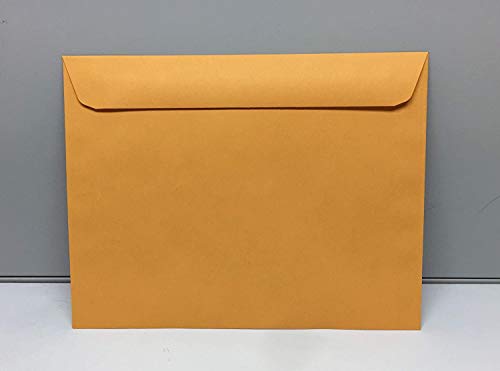 Limited Papers (TM) Booklet Envelopes, (Open Side) Brown Kraft, Gummed Seal, 28 Pound, Heavyweight, For Mailing And More. (1000, 10 x 13)