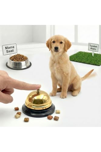Metal Table Call Bell 3.15 Inch Diameter | Reception Bell for Hotels Offices Stores Clinics Cafes | Training Aid for Pets and | Gold Finish