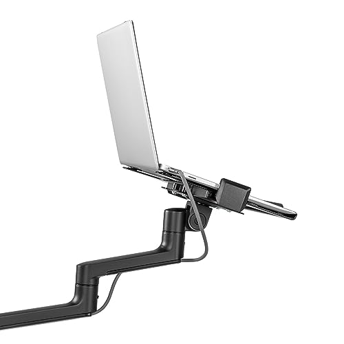 Newstar Neomounts DS20-425BL1 Next Lite Laptop Mount Desk Arm for 11.6-17.3" Laptops, Up to 5 kg (11 lb), Black