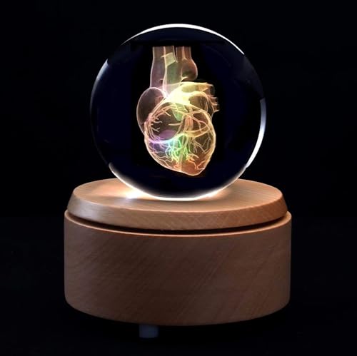 LKJUIO Crystal Glass Ball Human Heart Anatomical Model Paperweight Laser Etched in Crystal Glass Ball Science Teaching Tool Included Base