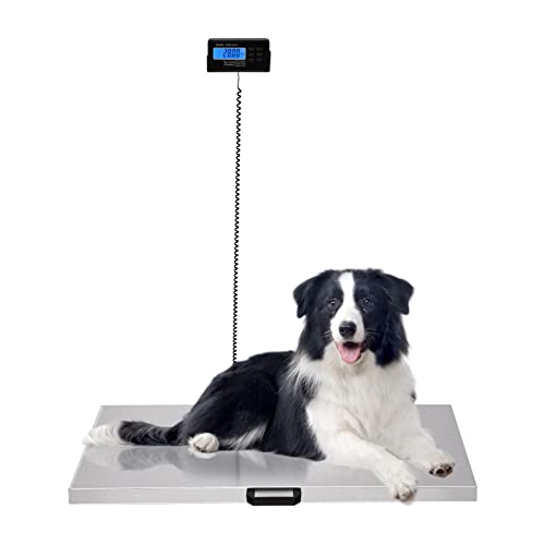 Digital Livestock Scale Large Pet Scale for Animal Weight Scale Stainless Steel Platform Electronic Postal Shipping Scale Heavy Duty Large Dog (440Lbs)