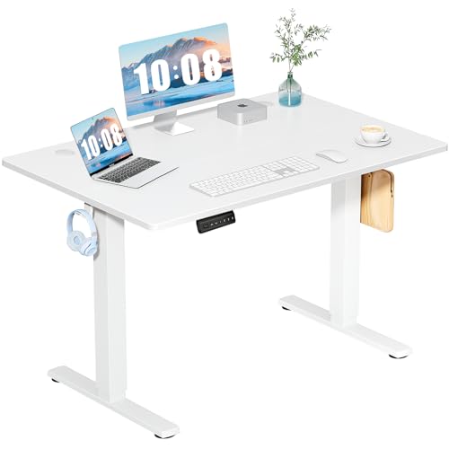 DUMOS 48 Inch Electric Standing Desk, Memory Adjustable Home Office Desk
