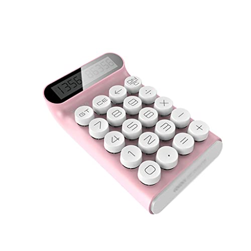 DUYHBAWRS Calculator Retro Portable Calculator Mechanical Keyboard Computer 10-Digit LCD Display Financial Office Fashion Calculator(Black-JoJo's Bizarre Adventure1)