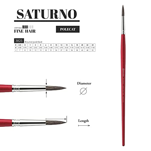 Escoda Saturno Series 3825 Artist Oil and Acrylic Paint Brush, Black Sable, Round, Size 24