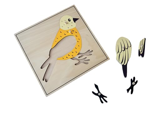 Premium Montessori Animal Puzzle Cabinet with 6 Puzzles 15" Horse Fish Turtle Bird Frog Ant– Wooden Zoology Biology Materials for Kids, Educational Toys for Kids Toddler Classroom Homeschool Learning