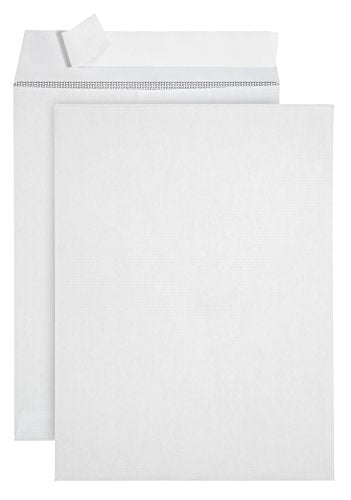10 9 X 12 Self Seal Security Catalog Envelopes - Designed for Secure Mailing - Securely Holds up to 60 Sheets of Paper with Strong Peel and Seal Flap (10 Envelopes)