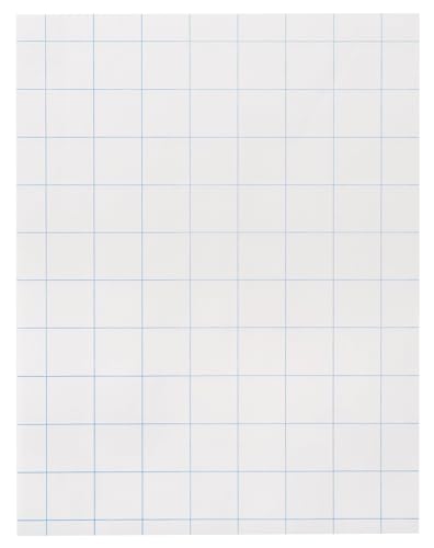 School Smart-85280 Double Sided Graph Paper with in Ruler - 8 1/2 in x 11in - Ream of 500 - White