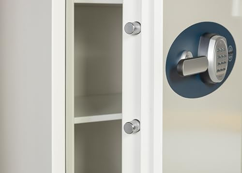 Phoenix Safe Class 350 Digital Fireproof Safe, 1.75 cubic feet