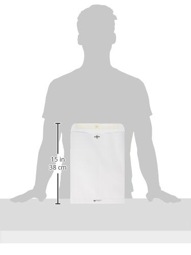 Quality Park Clasp Envelopes, Gummed, White, 10 x 13, 100 per Box, (38397)