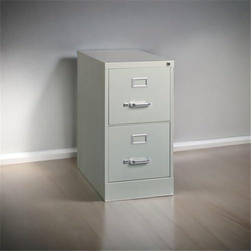 Scranton & Co 2 Drawer Letter File Cabinet, Gray