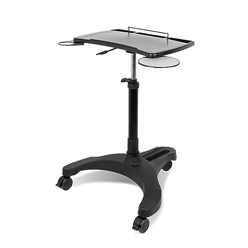 EHO Mobile Laptop Standing Desk Carts on Wheels with Stationery Storage, Pneumatic, Height Adjustable Rolling Stand, Sit to Stand Computer Cart, Workstation for Home, Office, Medical and School